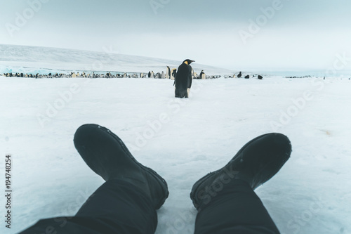 Exploring the Emperor Penguin Colony - Antarctica photo
