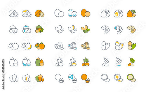 Set Vector Flat Line Icons of Nuts