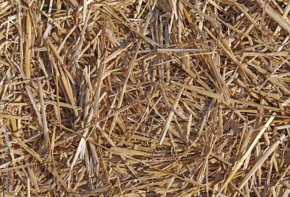 background with lots of straw and dry hay in the horse stable