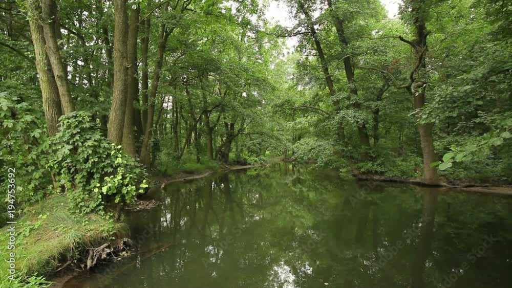 Inland River Delta River In The Floodplain Forest, Lowlands, Litovelske Pomoravi Inland River Delta River In The Floodplain Forest, Lowlands, Litovelske Pomoravi