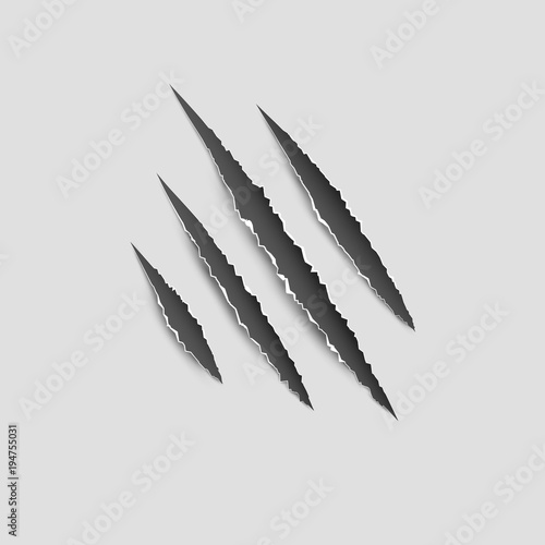 Claws paw scratches isolated vector on white background. Animal Claws horror scratch tiger, lion or bear photo