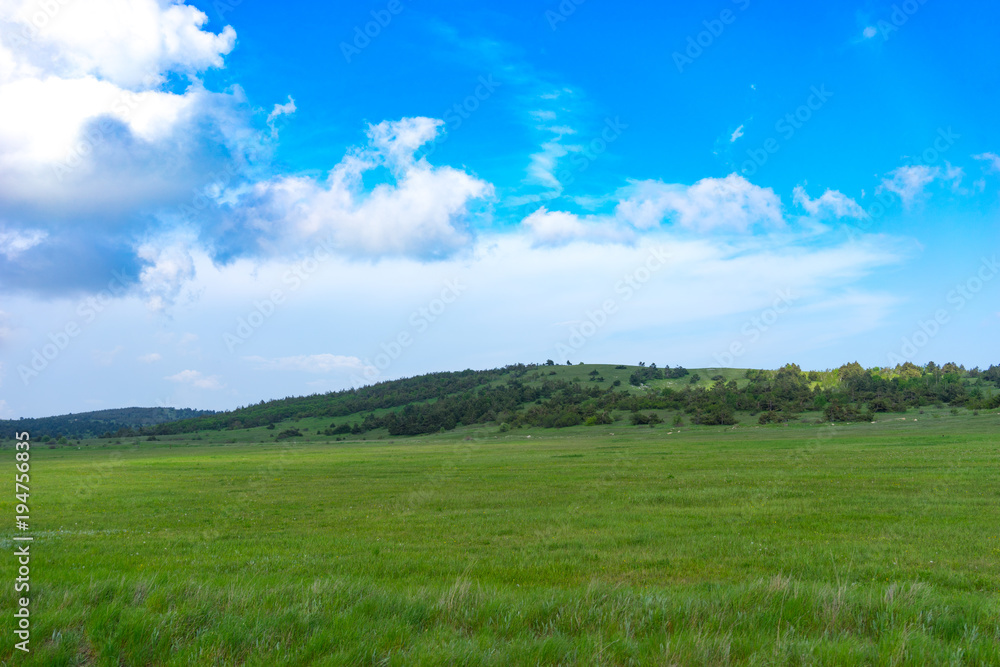 Natural landscape with a green field covered with grass under the blue sky with clouds.