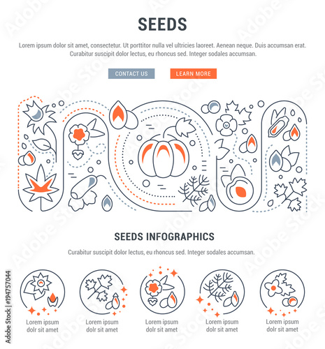 Website Banner and Landing Page of Seeds.