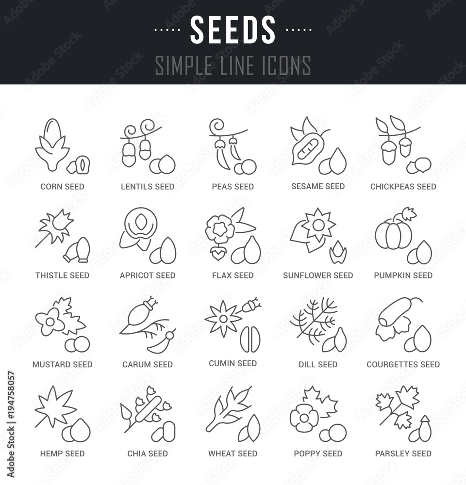 Set Vector Line Icons of Seeds