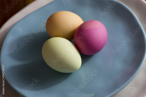 Easter theme. Eggs with tulips on wooden board, easter holiday concept. Copy space for text. On a white background.