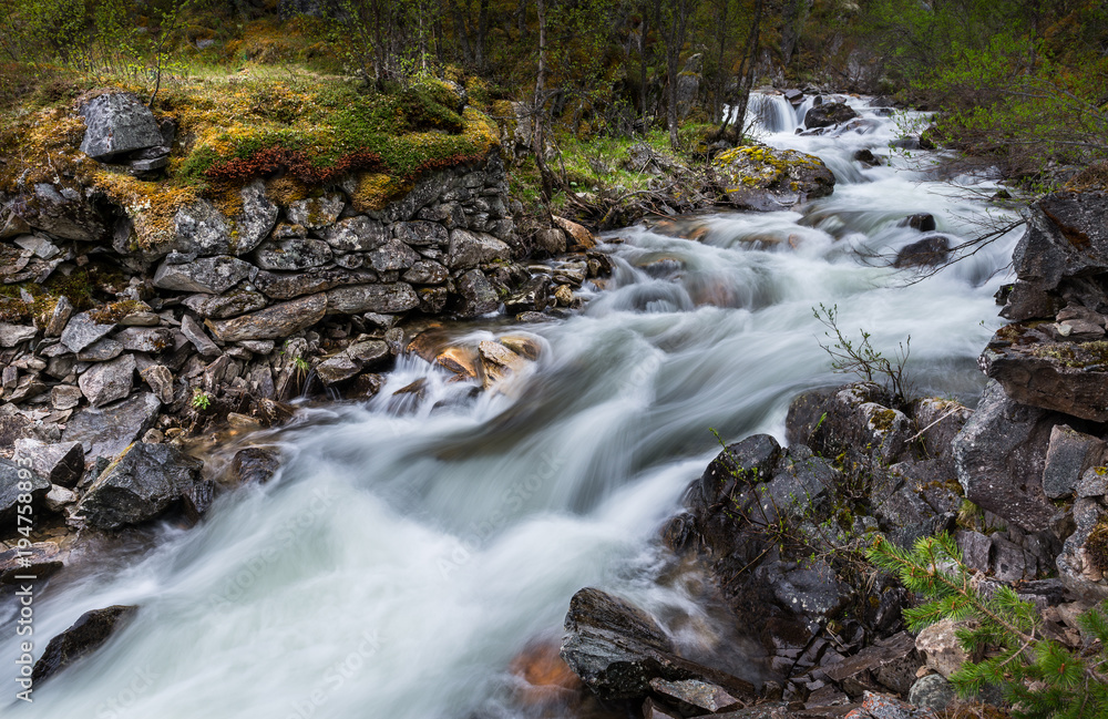 Forest stream in Rondane National Park, Norway Forest stream in Rondane National Park, Norway