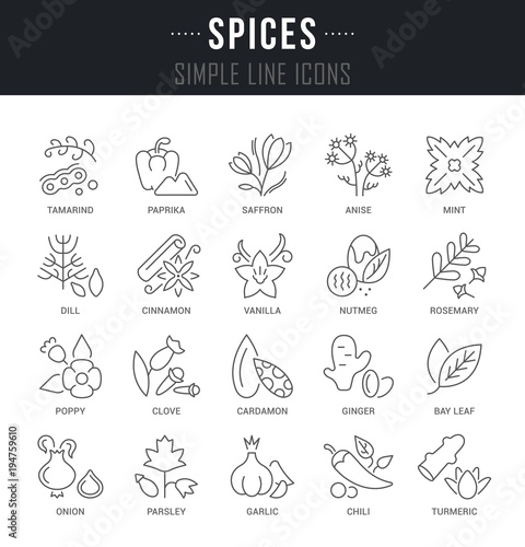 Set Vector Line Icons of Spices.