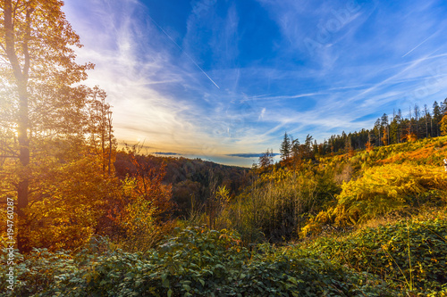 Autumnal landscape of colorful trees in Hoegne Valley, Belgian Ardennes