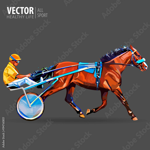 Jockey and horse. Champion. Racing. Hippodrome. Racing steed coming first to finish line. Chariot with horse and rider. Stallion race track. Harness racing at the Hippodrome. Vector illustration.