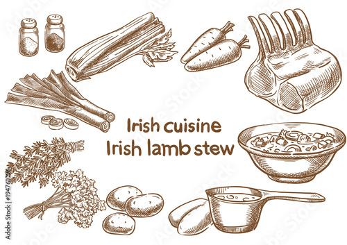 Irish cuisine. Irish lambstew ingredients. Sketch drawing.