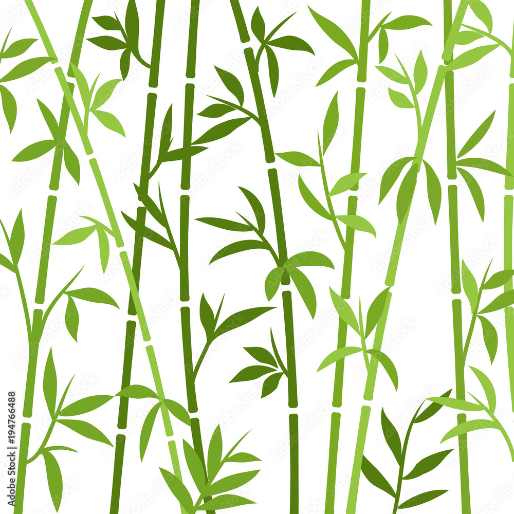 Fototapeta premium Bamboo background japanese asian plant wallpaper grass. Bamboo tree vector pattern