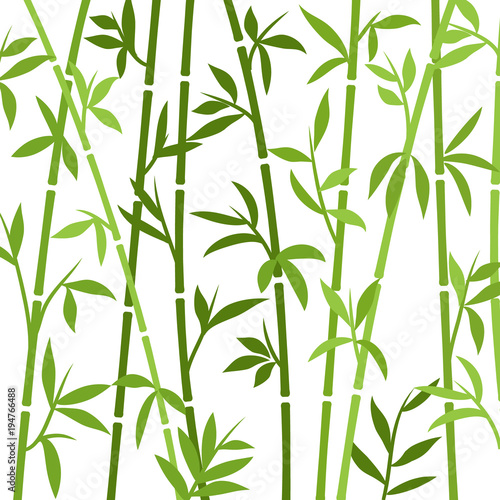 Naklejka Bambusowej tło japońskiej azjatykciej rośliny tapety trawa. Drzewo bambusowe wektor wzór