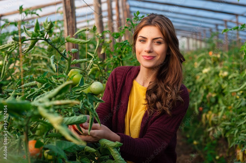 Beautiful young woman gardening and smiling at camera. Greenhouse produce. Food production. Beautiful young woman gardening and smiling at camera. Greenhouse produce. Food production.