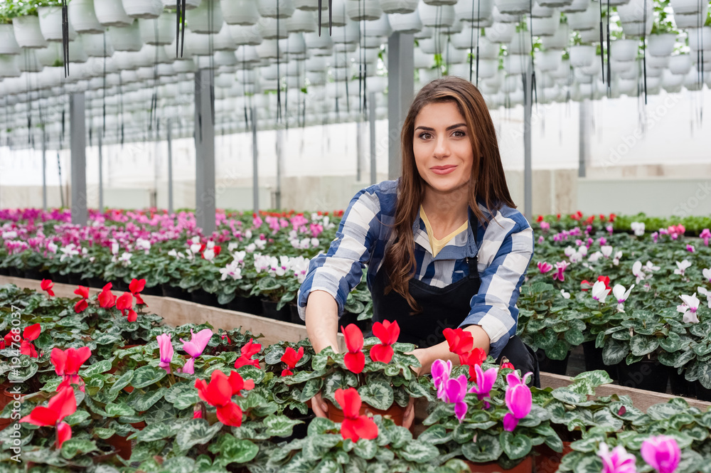 FYoung forists woman working with flowers in a greenhouse holding a pot smiling at camera FYoung forists woman working with flowers in a greenhouse holding a pot smiling at camera