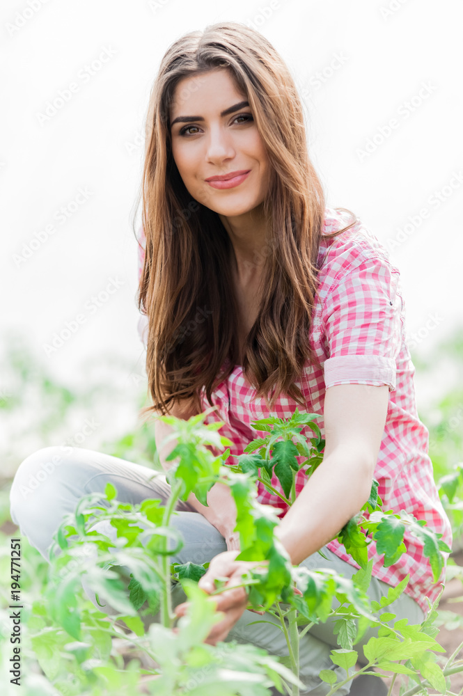 Female worker in greenhouse. Female worker in greenhouse.