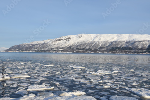 Norwegen / Lofoten Winter Eisschollen