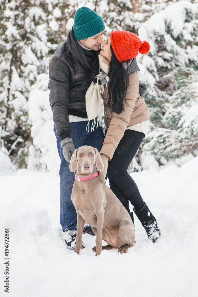 Cute happy loving couple of caucasian man and woman on a walk in snowy day with their weimaraner dog. Casual outfit, lifestyle images