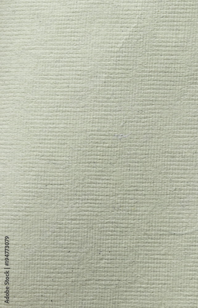 White paper texture White paper texture