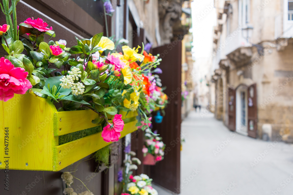 Horizontal View of Close Up of a Composition of Flowers in a Yellow Wooden Box Hanged on a Door in a Street. Taranto, South of Italy