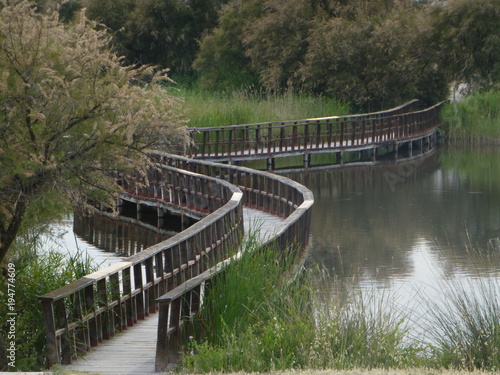 Billede på lærred Las Tablas de Daimiel, parque nacional de Ciudad Real (Castilla la Mancha, Espa