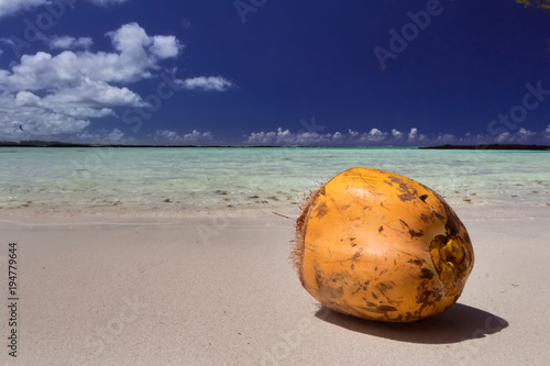 a ripe orange (unpeeled) coconut on a sandy beach, Mauritius
