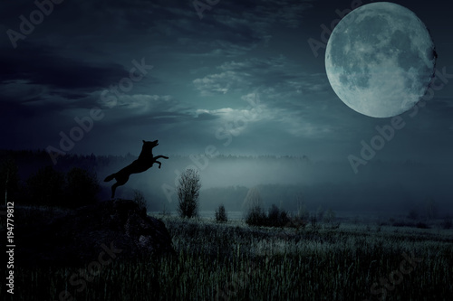 Wolf jumps and howls to the moon.