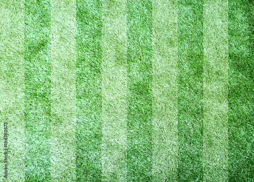 Naklejka Green artificial grass texture or background and copy space
