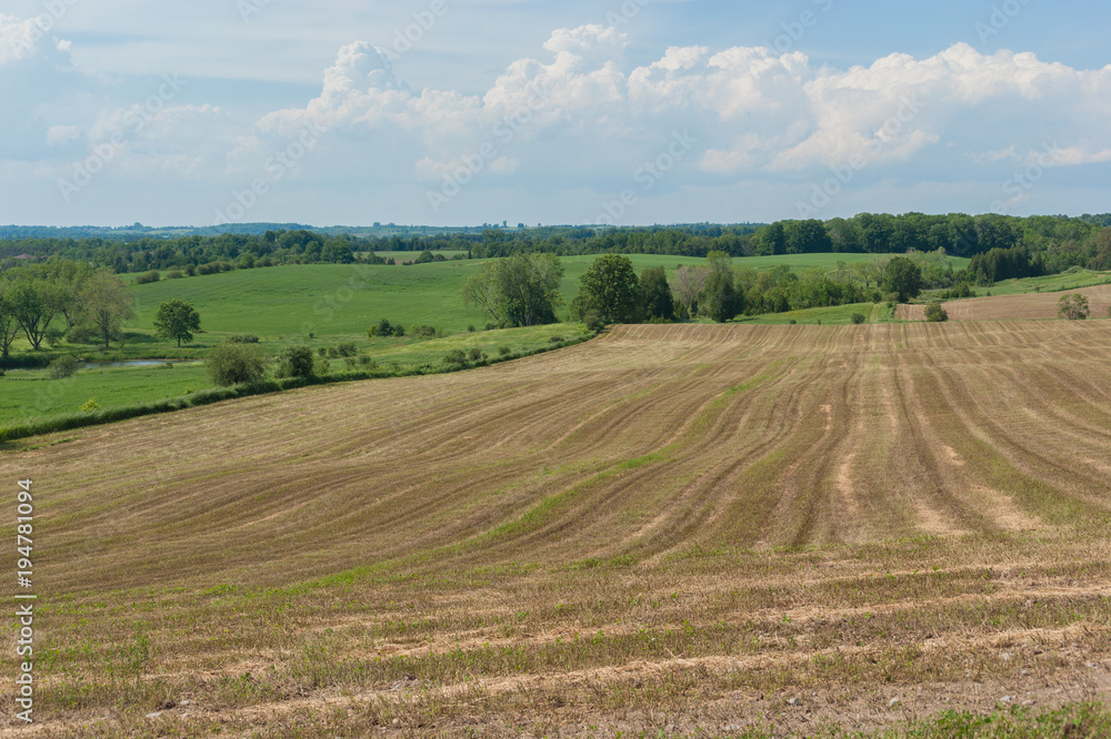 Rural landscape of field in countryside