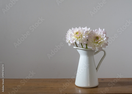 Fototapeta Naklejka Na Ścianę i Meble -  White dahlias in jug on wooden shelf against neutral wall background