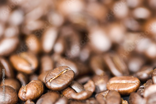 coffee beans close-up with a blurred background