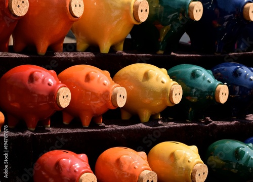 Colorful Pigs