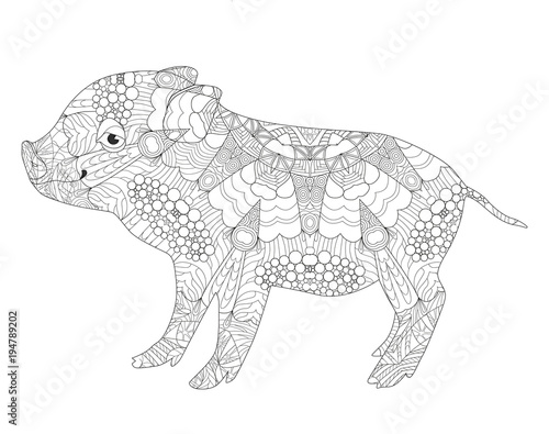Piggy coloring book for adults vector