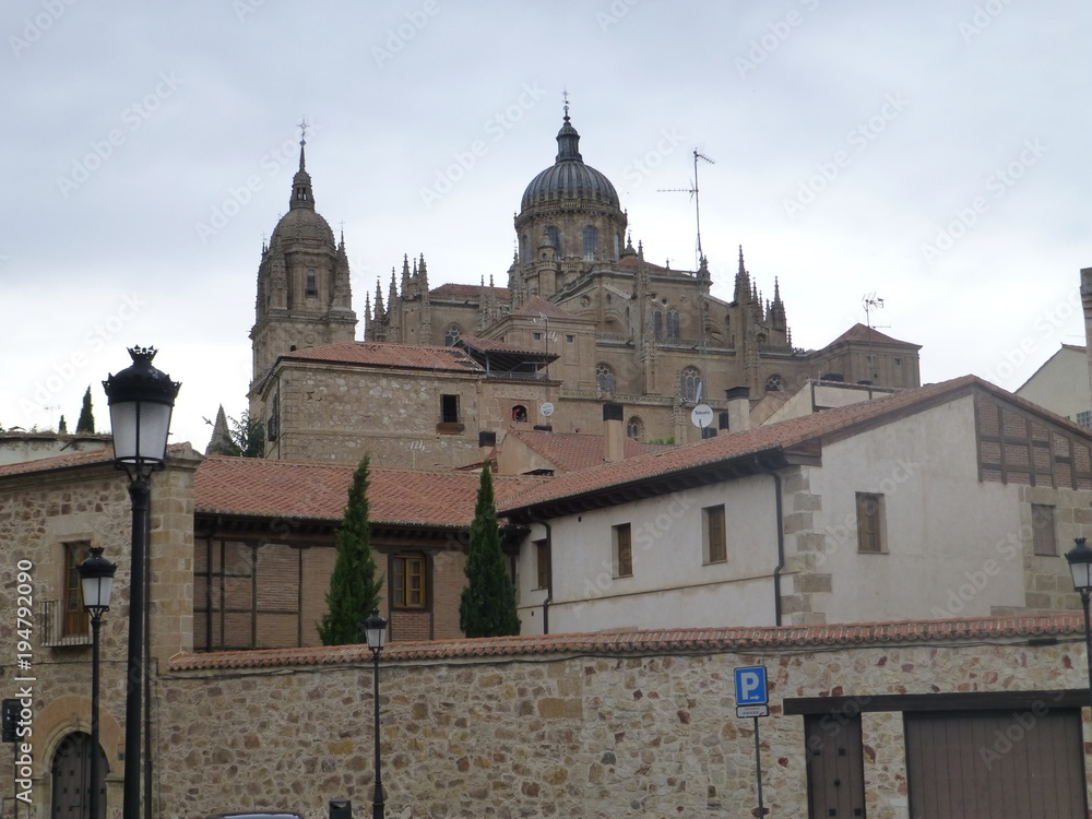 Salamanca, ciudad situada en la comunidad autónoma de Castilla y León (España)