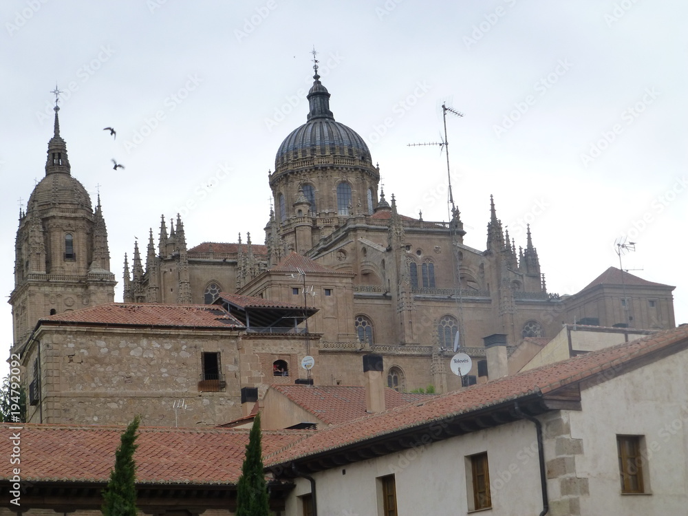 Salamanca, ciudad situada en la comunidad autónoma de Castilla y León (España)