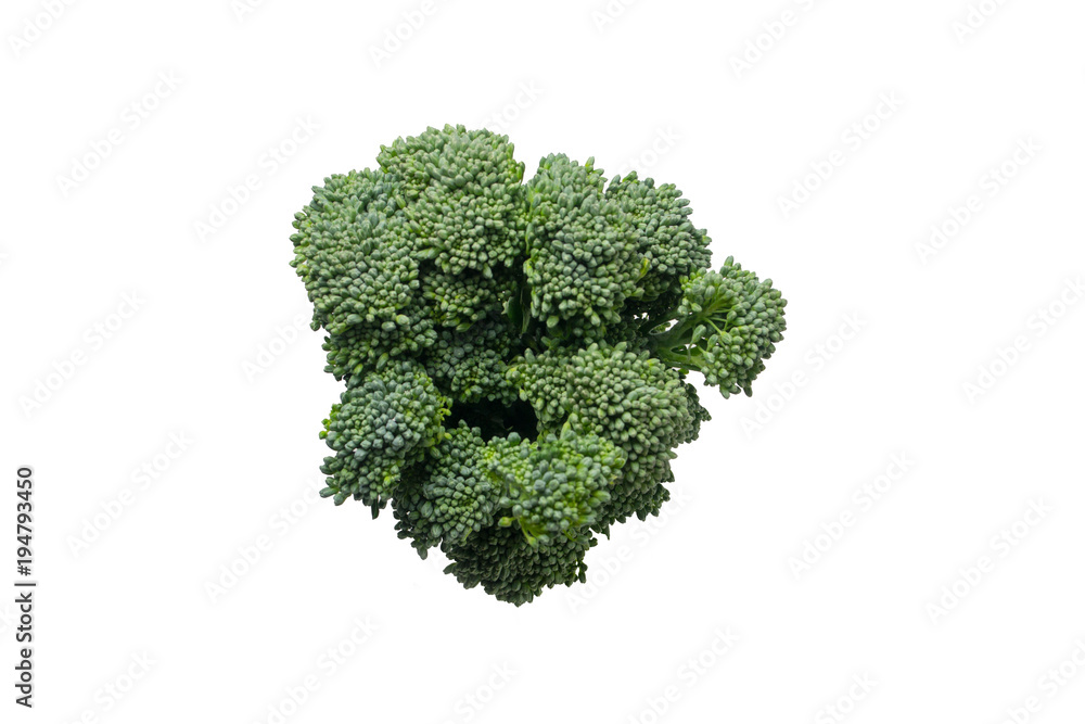 broccoli topview on white background broccoli topview on white background