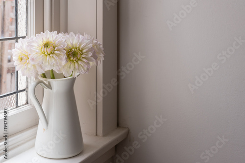 Fototapeta Naklejka Na Ścianę i Meble -  White dahlias in jug on window sill with moody light (selective focus)
