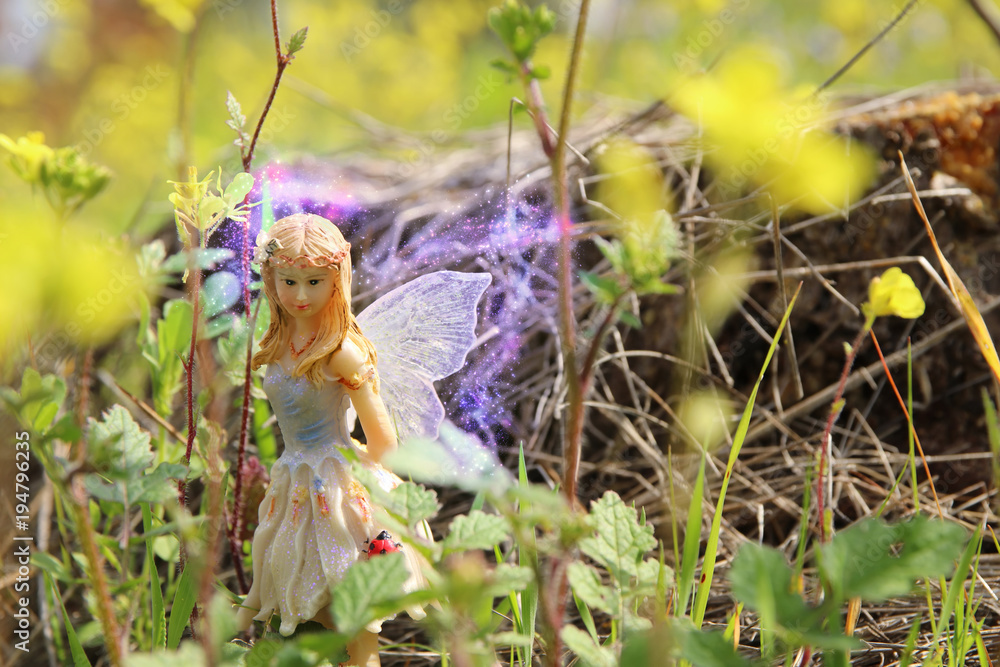 image of magical little fairy in the forest. image of magical little fairy in the forest.