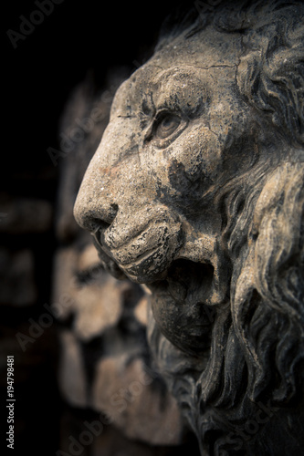 Stone Lion