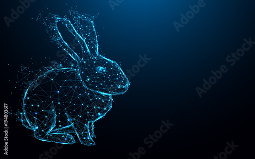Abstract Rabbit form lines and triangles, point connecting network on blue background. Illustration vector