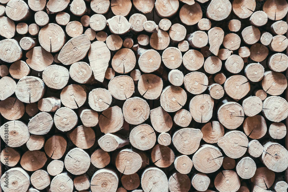 Dry cut wooden stump background and texture. Dry cut wooden stump background and texture.