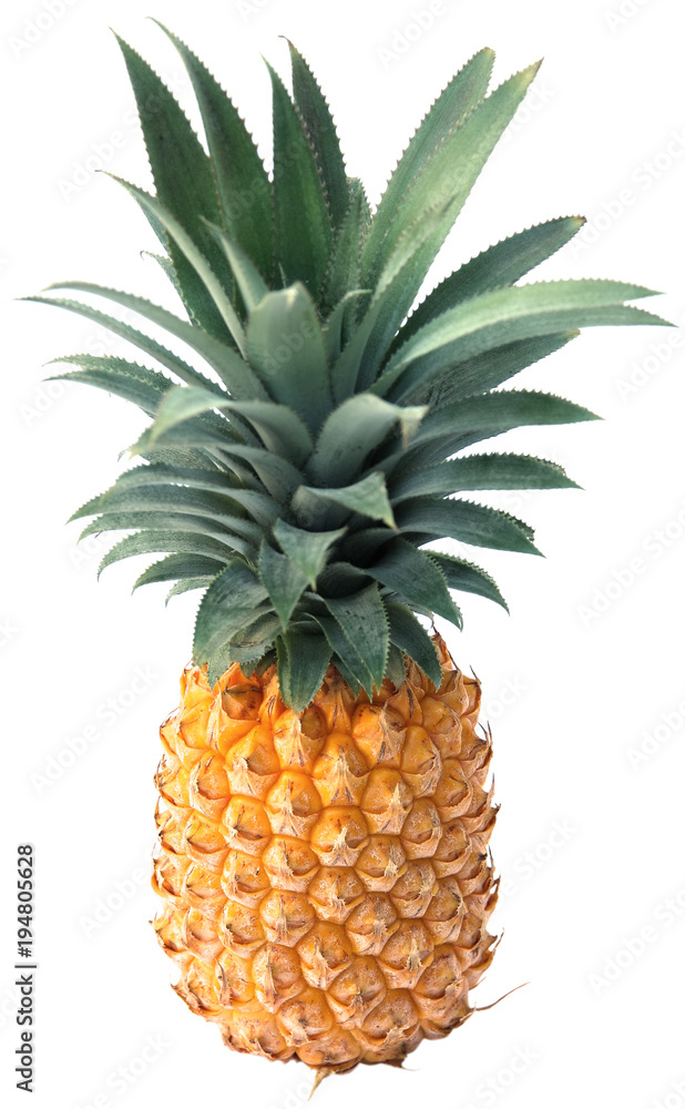 Fototapeta premium ananas Victoria, île de la Réunion 