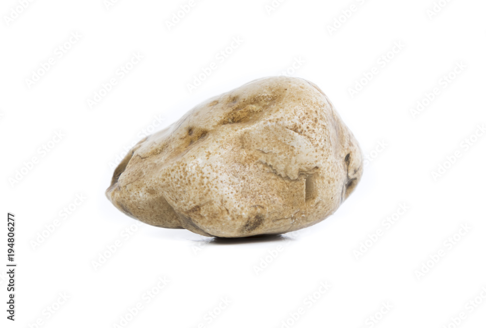 Obraz premium Single natural stone on white background, close-up