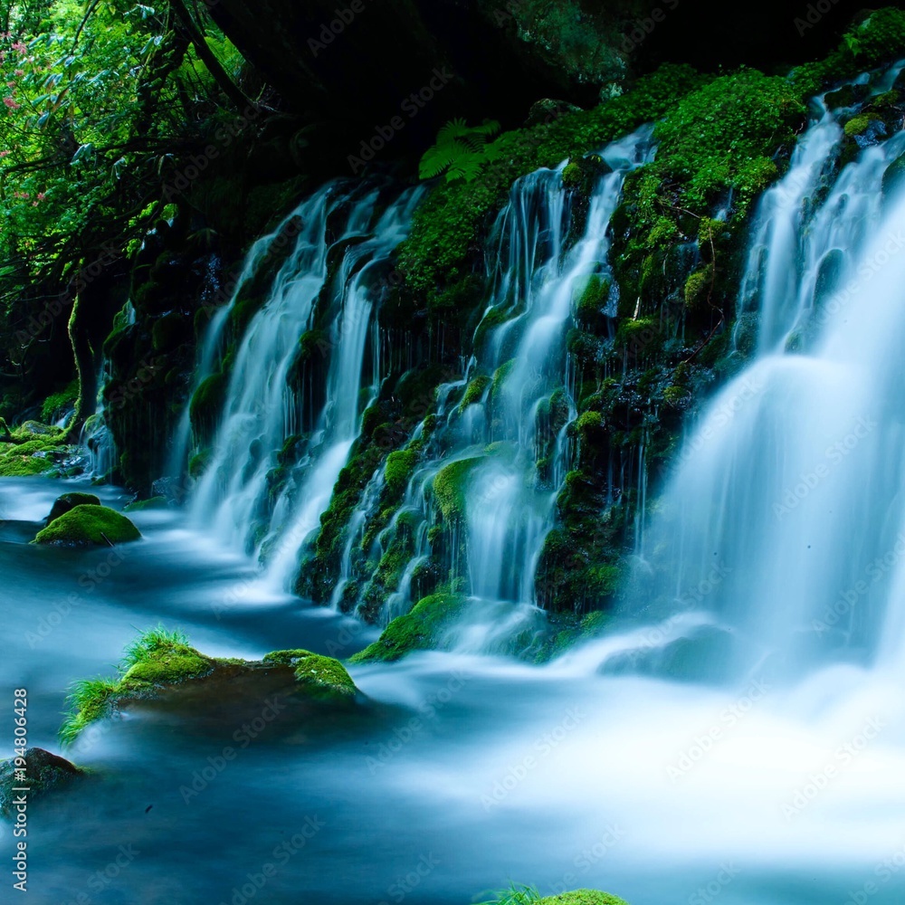 Obraz premium 元滝伏流水