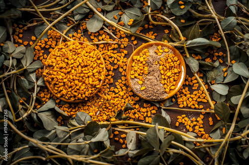 Close up of fresh raw fenugreek with its seed and its powder on a brown wooden surface in  dark Gothic colors.It is beneficial for hair,skin and physical health. photo