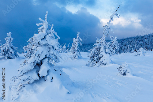 Beautiful winter forest of Beskid Slaski