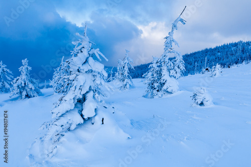 Beautiful winter forest of Beskid Slaski