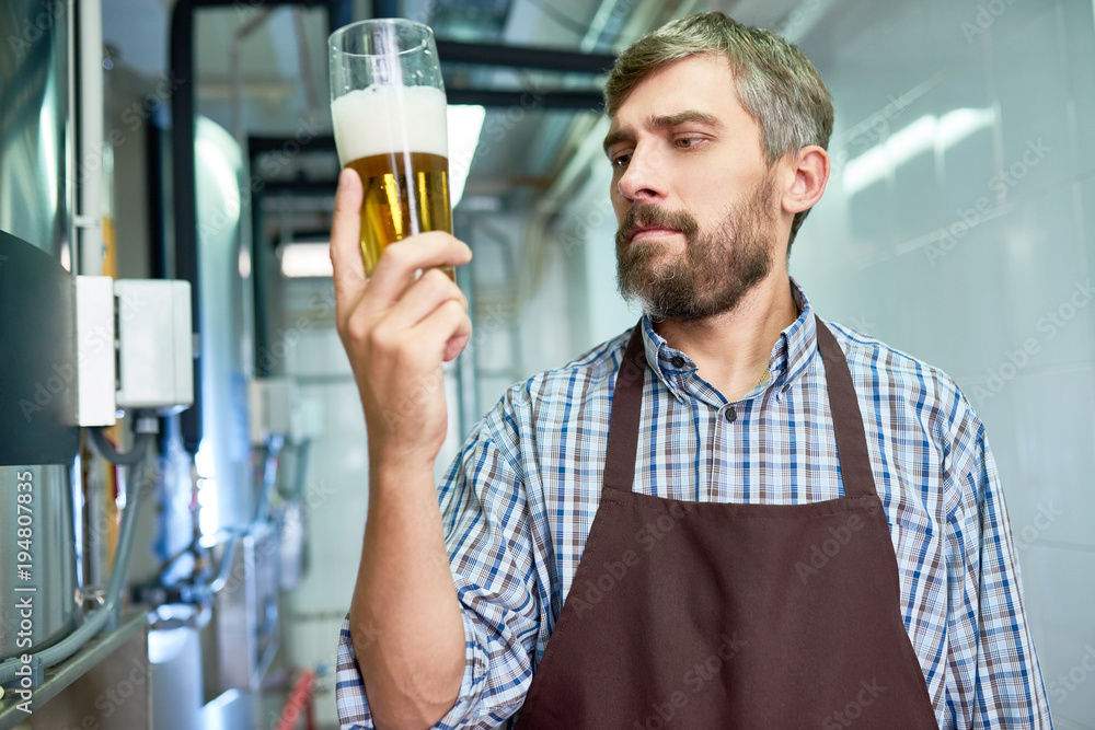 Waist-up portrait of bearded middle-aged brewer wearing checked shirt and apron tasting fresh beer while standing at modern beer factory Waist-up portrait of bearded middle-aged brewer wearing checked shirt and apron tasting fresh beer while standing at modern beer factory