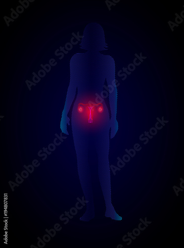 Female reproductive system. Silhouette of woman with uterus, disease of female genital organs medical illustration