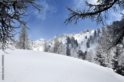 paesaggio invernale sulle alpi .