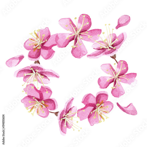 Hand drawn watercolor romantic wreath with pink sakura flowers.